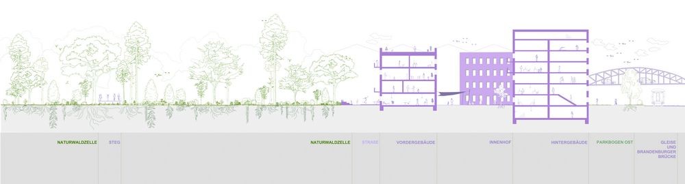 Diagramm der Schichten der Wilden Mitte